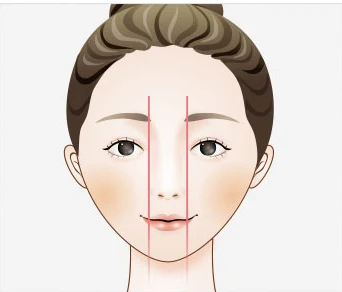 정면에서 본 얼굴에 콧망울의 폭과 양안 사이 거리를 잇는 세로 기준선을 그린 도해
